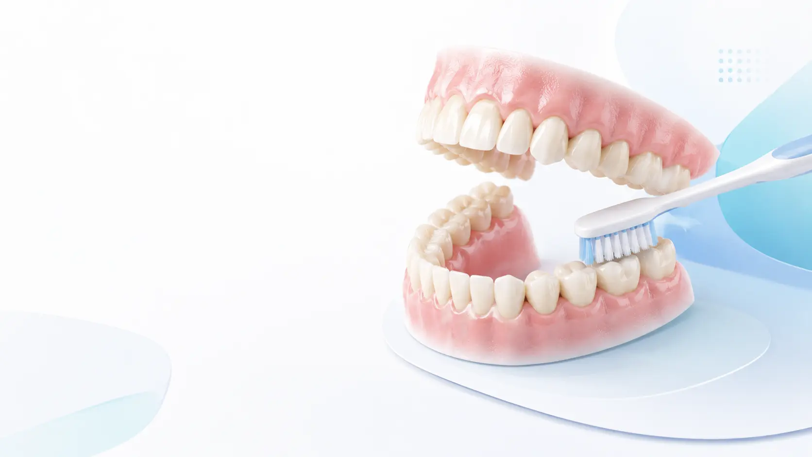 How To Brush Your Teeth Properly: Daily Tips